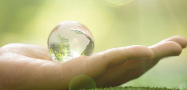 Eco responsable, pour plus de santé et de bien être