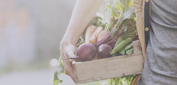Les fruits et légumes d’automne : bien les choisir 
