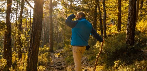 tics et puces comment les éviter ?