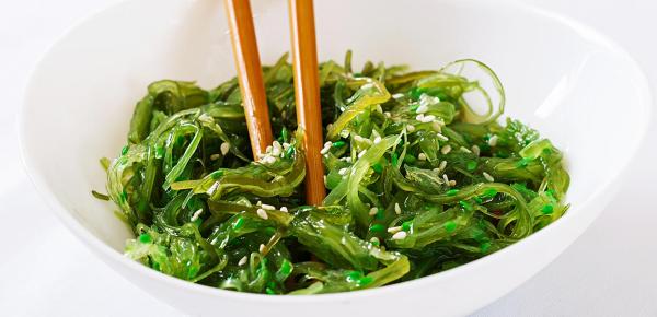 algues alimentaire alimentation