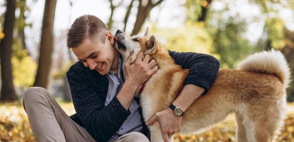 Comment vivre des relations calmes et sereines avec son chien ?