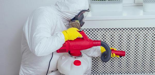 éviter et traiter les punaises de lit