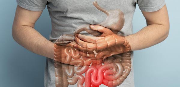 Cancer colorectal ou cancer de l’intestin