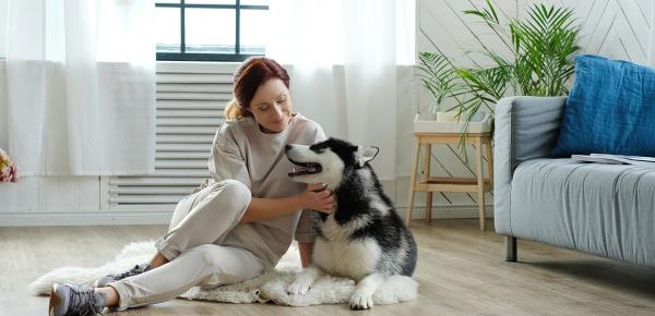 Les 5 avantages de l’offre santé animale