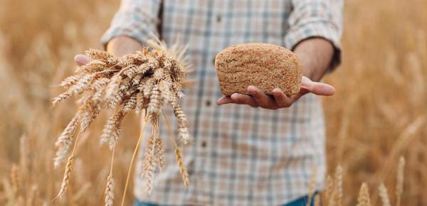 gluten bon mauvais santé