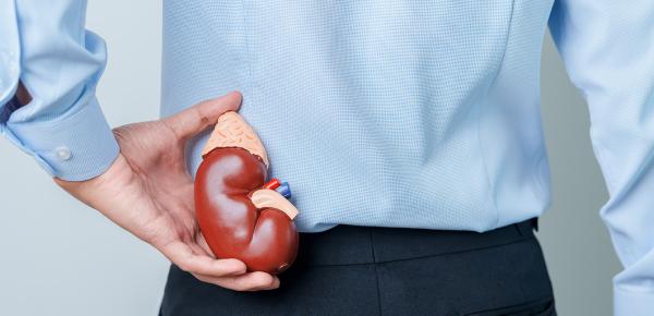 Comprendre les calculs rénaux : causes, symptômes et prévention