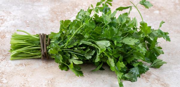 Plante photosensibilisante : les risques sur la santé et les précautions à prendre