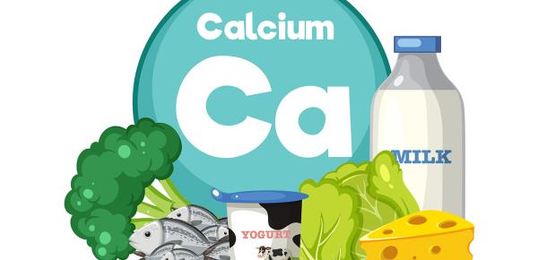 Le calcium : un nutriment essentiel pour votre santé 