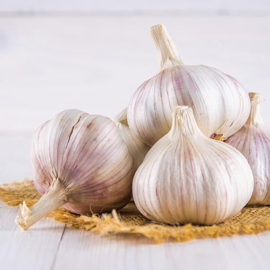 L’ail : un condiment bienveillant