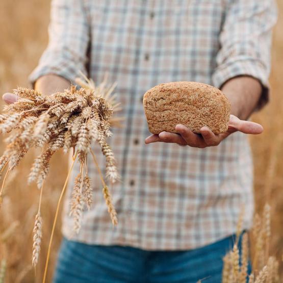 gluten bon mauvais santé