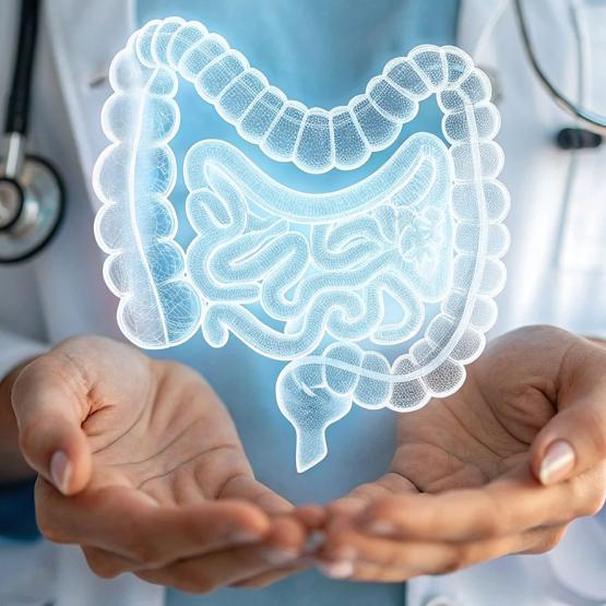 Gastro enterite aigue rotavirus 