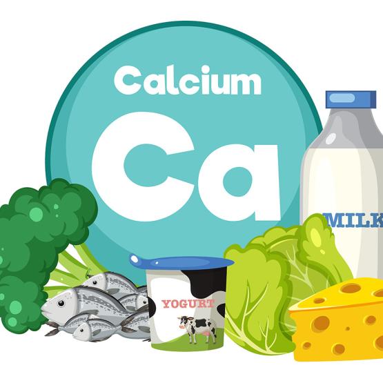 Le calcium : un nutriment essentiel pour votre santé 