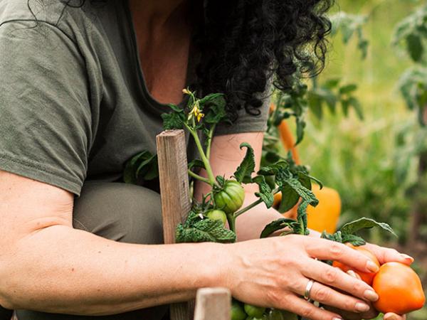 jardin balcon jardiner au naturel