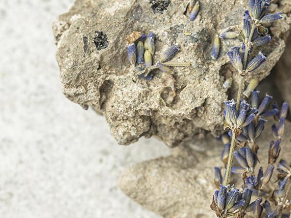 radiance-mutuelle-atelier huiles essentielles.jpg