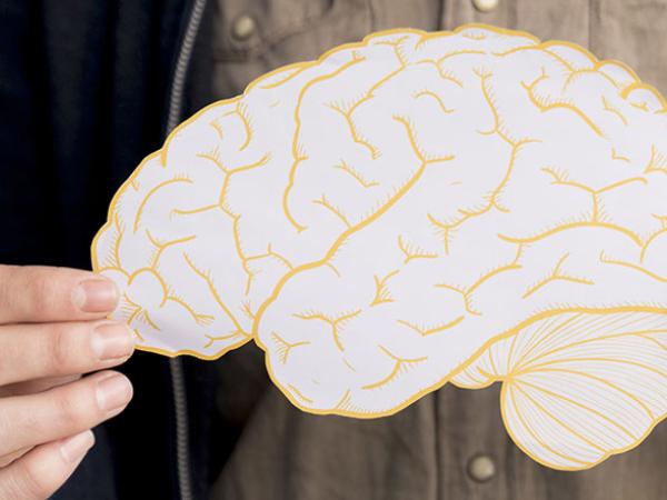 Représentation d'un cerveau humain