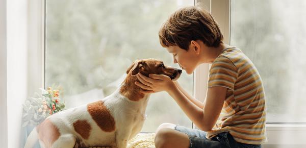 Assurance Santé Chien