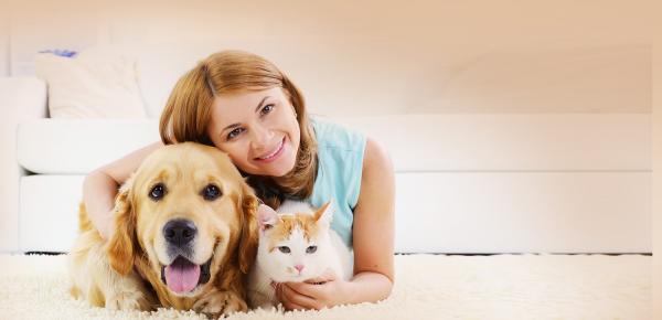 Assurance Santé Animale