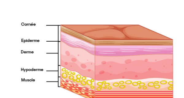Quel aspect sur votre peau ?